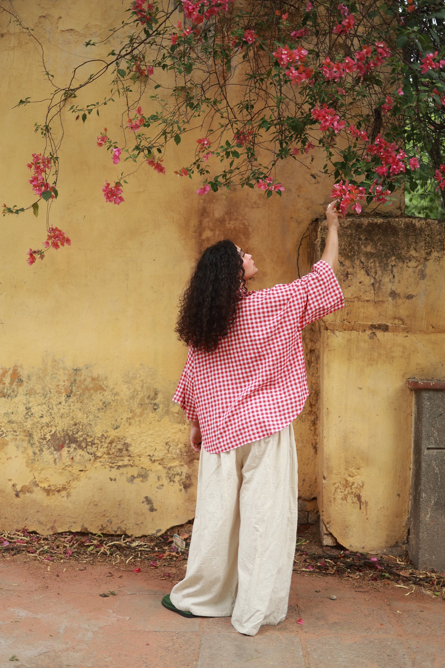 Crumb Catcher Shirt (Red Gingham)