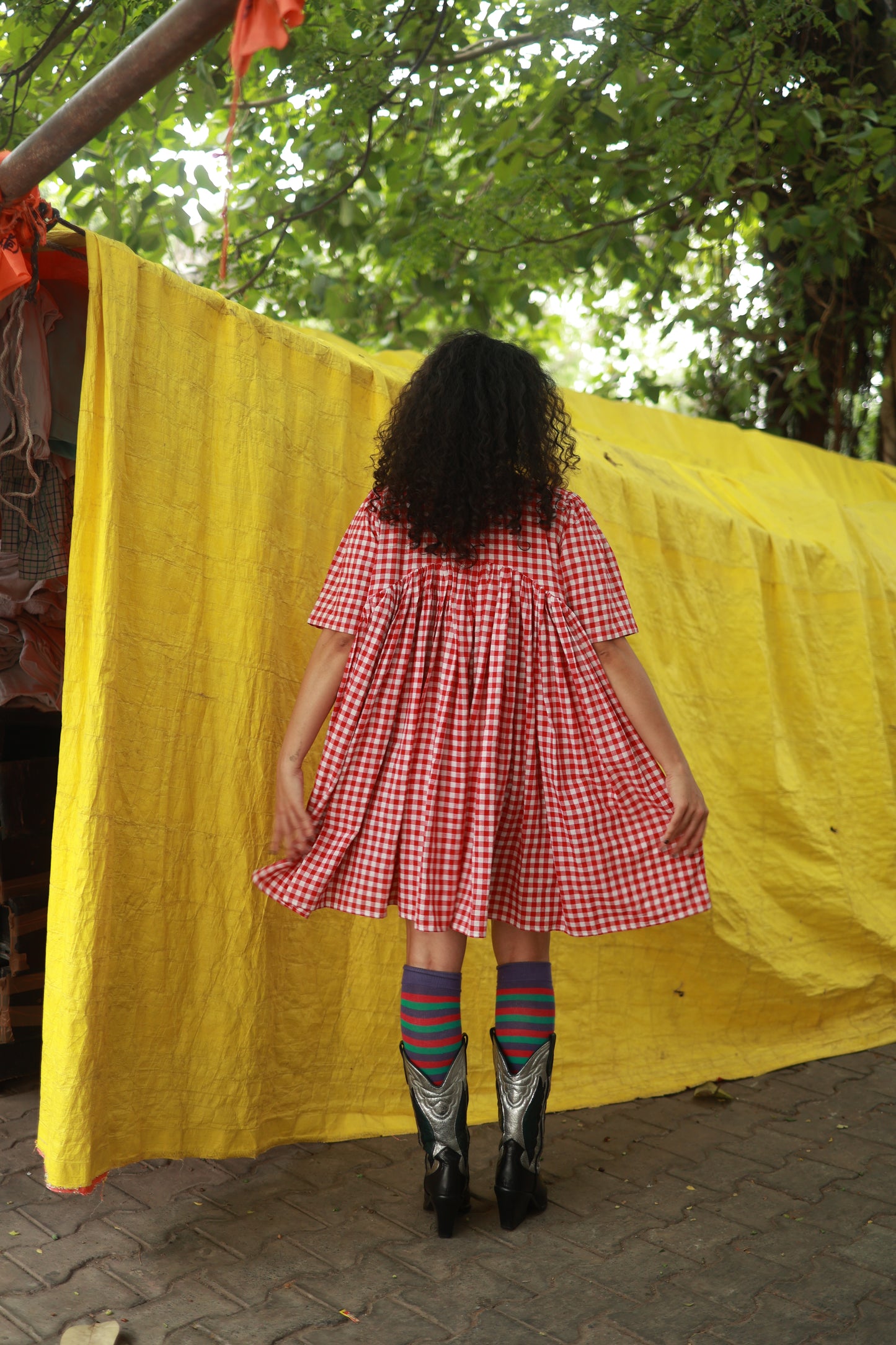 'I am Damn Fun' Dress (Red Gingham)