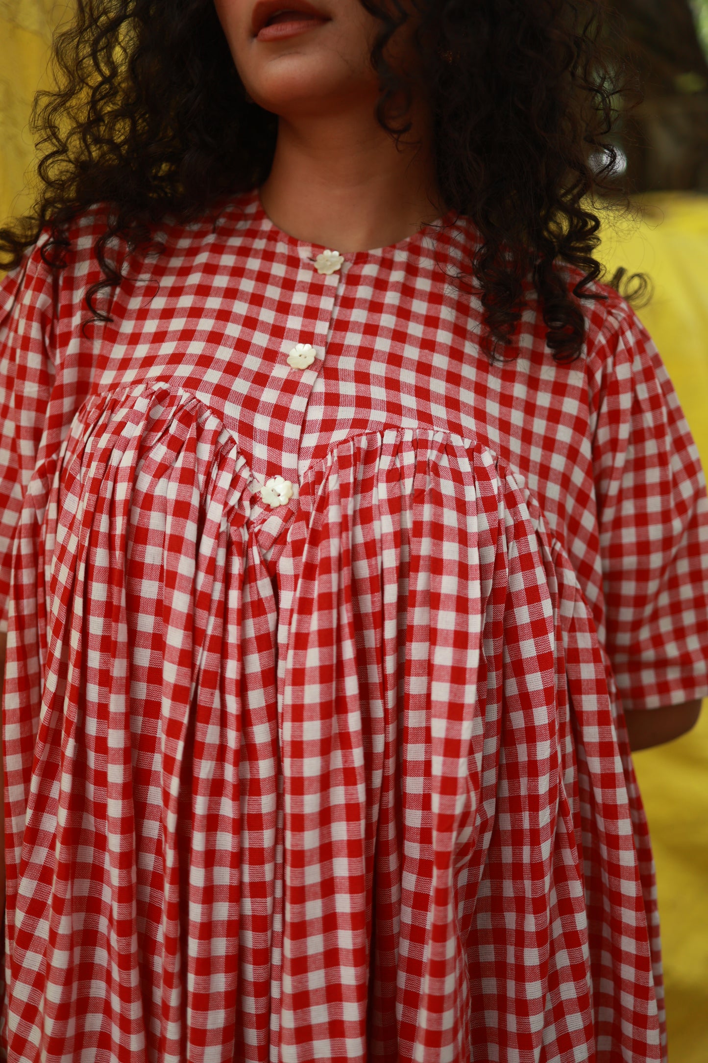'I am Damn Fun' Dress (Red Gingham)